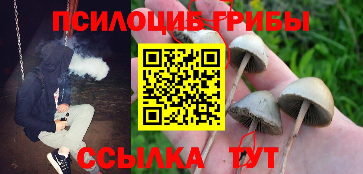 Псилоцибиновые грибы мицелий Петропавловск-Камчатский